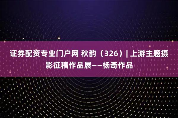 证券配资专业门户网 秋韵（326）| 上游主题摄影征稿作品展——杨奇作品