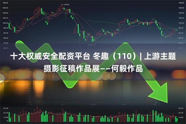 十大权威安全配资平台 冬趣（110）| 上游主题摄影征稿作品展——何毅作品