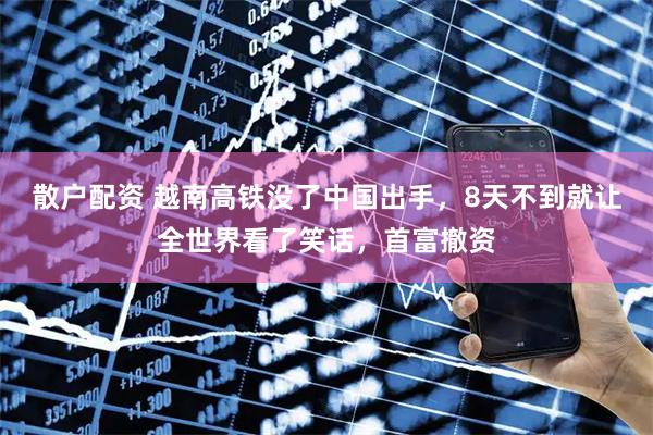 散户配资 越南高铁没了中国出手，8天不到就让全世界看了笑话，首富撤资