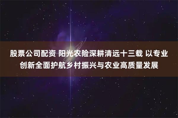 股票公司配资 阳光农险深耕清远十三载 以专业创新全面护航乡村振兴与农业高质量发展