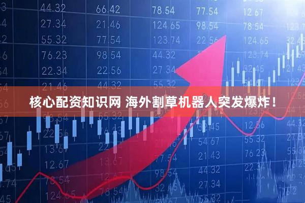 核心配资知识网 海外割草机器人突发爆炸！
